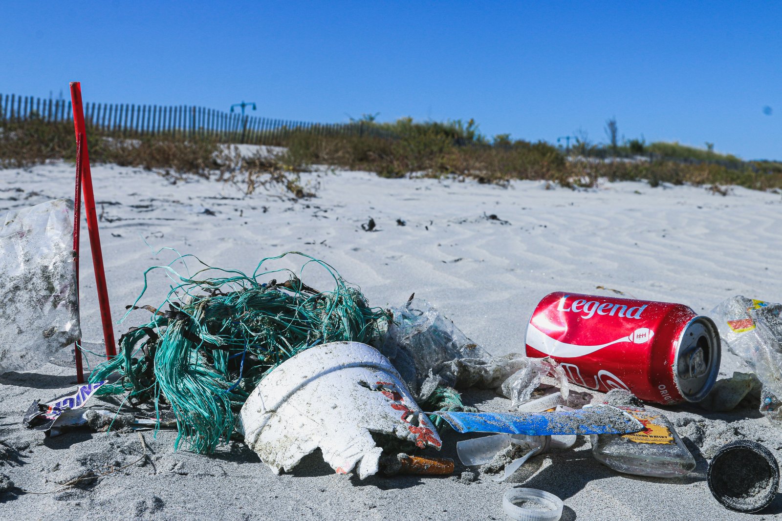 Participate in a Local Beach or Park Cleanup